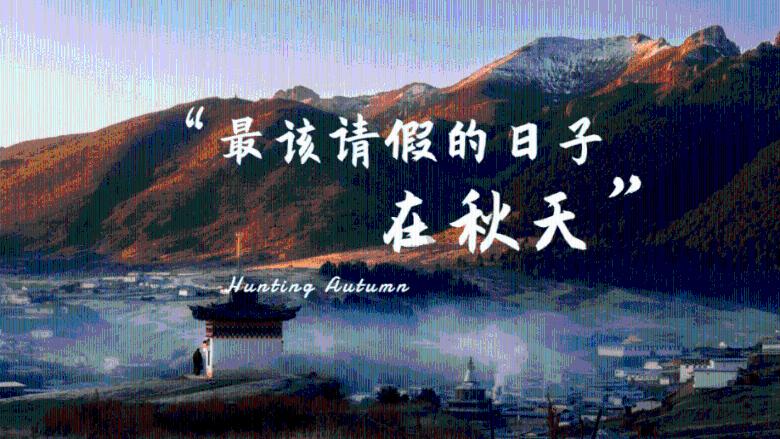 奥体东门到上地地税所做什么车游戏画面