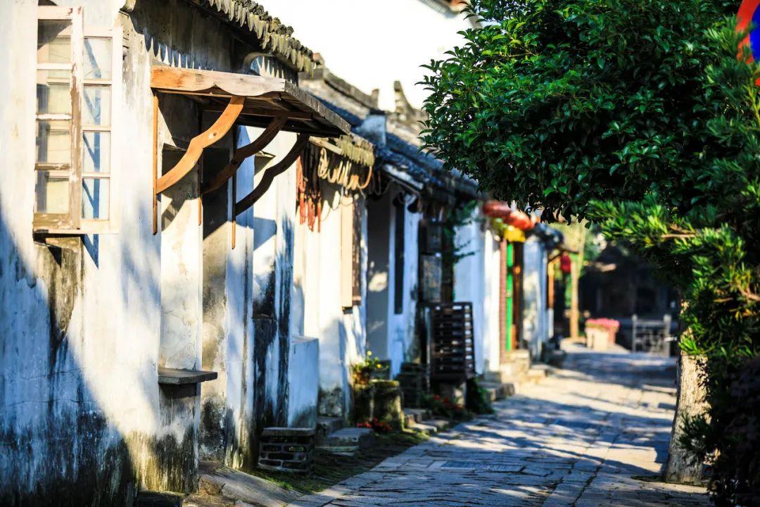 解答一切疑问,问答平台豆沙馅怎么做好吃窍门
